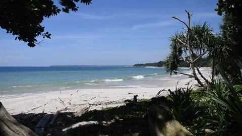 The beach of natural so blue Stock Footage 168527340