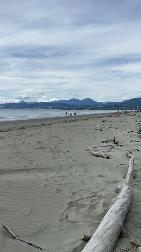 Beach near Nelson 库存影片 344047044