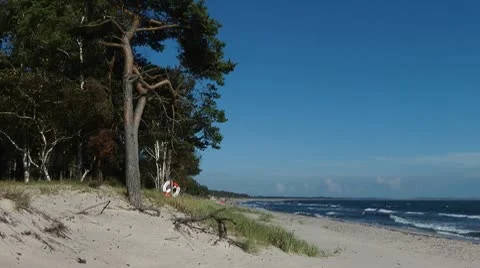 Beach near Ystad Stock Footage 8966511