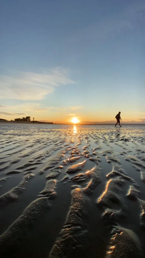 Beach in Nelson at sunset Vídeo Stock 344047113