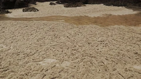 The beach next to the rock wall Stock Footage 164146117