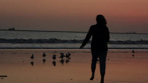 Beach Night Waves Sunset Birds Running 60fps Stock Footage 188025341