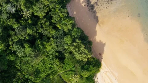 Beach with no tourist Stock Footage 130191994