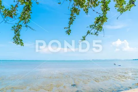 Beach in north Pattaya, Thailand Stock Photos