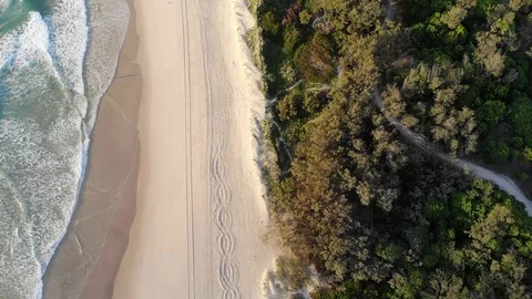 Beach with Ocean Stock Footage