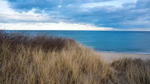 Beach Ocean Grasses Stock Photos