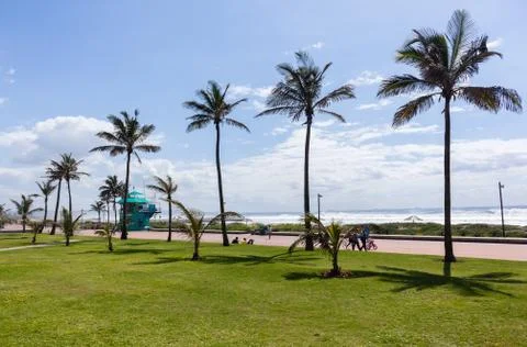 Beach Ocean Landscape Stock Photos