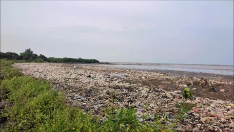Beach Ocean Plastic Garbage Pollution Stock Footage 230701187