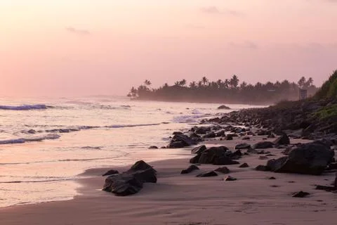 Beach with ocean waves, coconut trees, magenta sunset, rocket beach Stock Photos