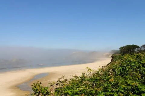 Beach in Oregon Stock Photos