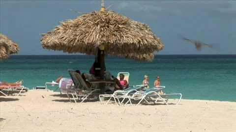Beach Palapa-zoom Stock Footage 780239