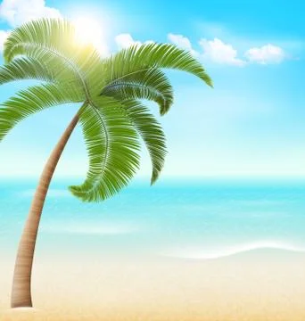 Beach with palm and clouds. Summer vacation background 库存插图