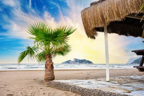 Beach with palm tree against dramatic sky Stock Photos
