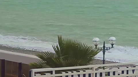 A beach with a palm tree and a lamp post Stock Footage 277258074