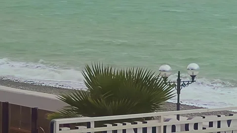 A beach with a palm tree and a lamp post Stock-Footage 279057262