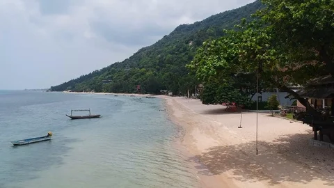 Beach palm tree fly up Island Koh Samui Stock-Footage 101109704