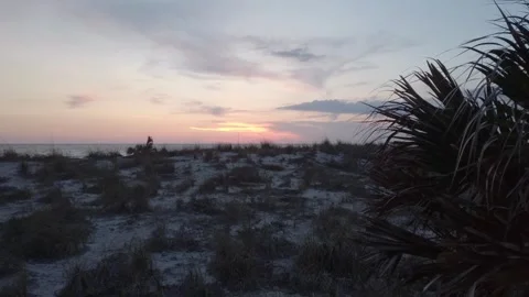 Beach Palm Tree Foreground Sunset colorful sky Stock Footage 241760154