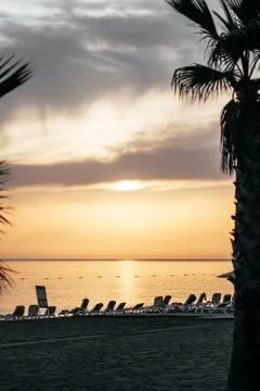 A beach with a palm tree in front of a sunset 스톡 사진