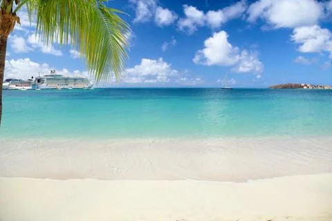 Beach with Palm Tree Stock Photos