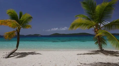 Beach with palm tree window in the Caribbean. Salomon Bay Stock Footage 83559230