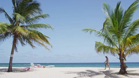 Beach with palm trees on against clear blue sky Video stock 70288697
