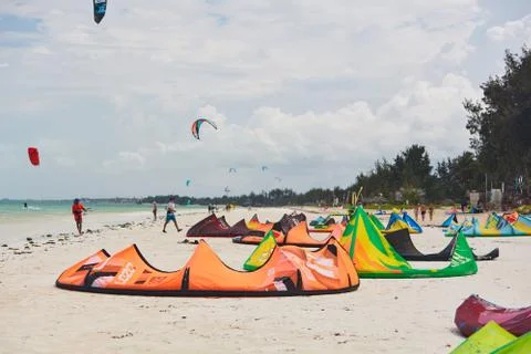 The beach with palm trees and kite laying on the ground and flying in the sky Stock Photos