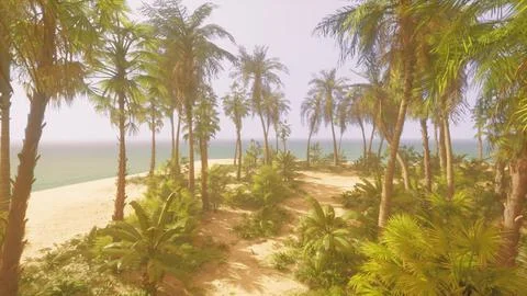 A beach with palm trees and the ocean in the background Illustration