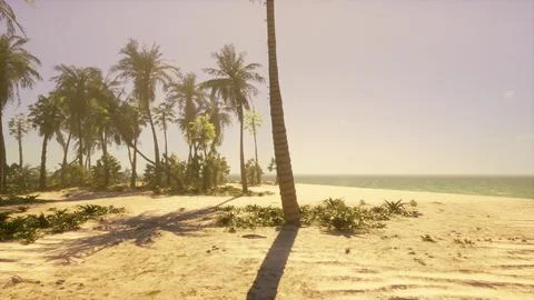 A beach with palm trees and the ocean in the background Stockillustratie