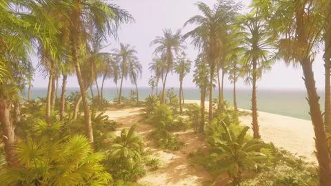 A beach with palm trees and the ocean in the background Stock Illustration