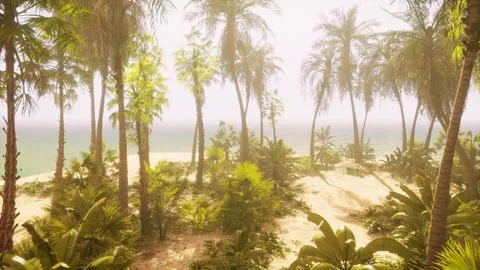 A beach with palm trees and the ocean in the background 库存插图