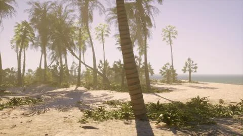 A beach with palm trees and the ocean in the background Illustration