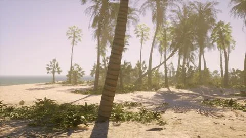 A beach with palm trees and the ocean in the background Stockillustratie