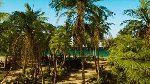 A beach with palm trees and the ocean in the background Stockillustratie