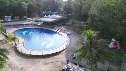 A beach with palm trees and a pool Stock-Footage 315682521