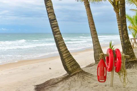 Beach with Palm trees and a ring buoy Photos