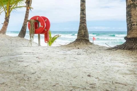Beach with Palm trees and a ring buoy Stock Photos