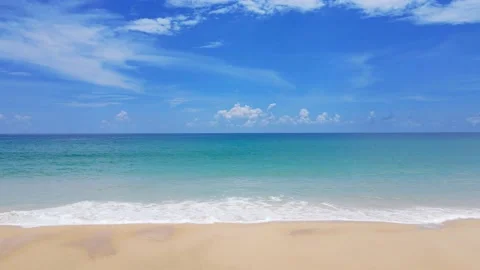 Beach with palm trees and sky	 Stock Footage 172391280
