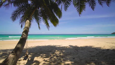 Beach with palm trees and sky Video stock 172923409