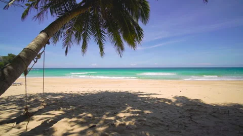 Beach with palm trees and sky Vídeo Stock 172924057