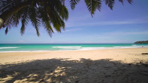 Beach with palm trees and sky Stock-Footage 172924717