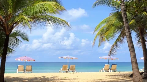 A beach with palm trees and umbrellas to sit and relax on a sunny day. Stock-Footage 164101143