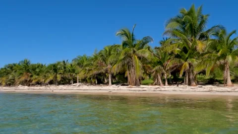Beach with palm trees blue sky and aqua water Video stock 272649731