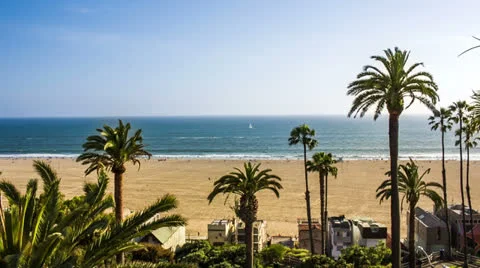 Beach with Palm Trees 스톡 동영상 24116158