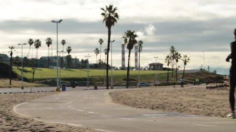 Beach palm trees Stock Footage 46808139