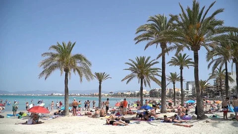 Beach with palm trees 動画素材 128349695