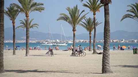 Beach with palm trees Stock Footage 128349908
