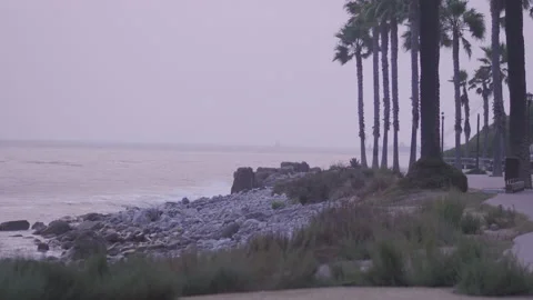 Beach with palm trees. Stock Footage 140477241