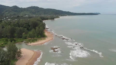 Beach with palm trees Video stock 146932565