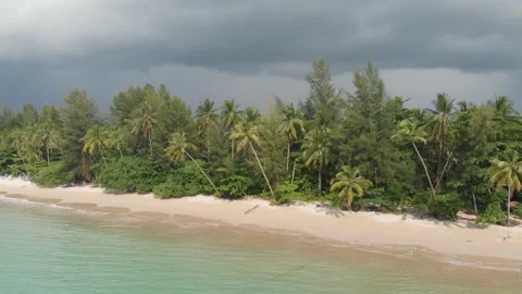 Beach with palm trees Video stock 146933224