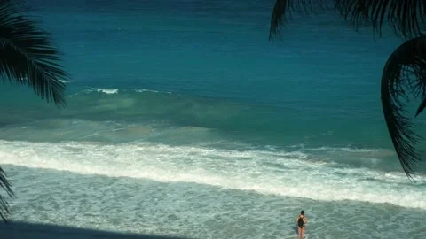 Beach with palm trees 動画素材 237193690